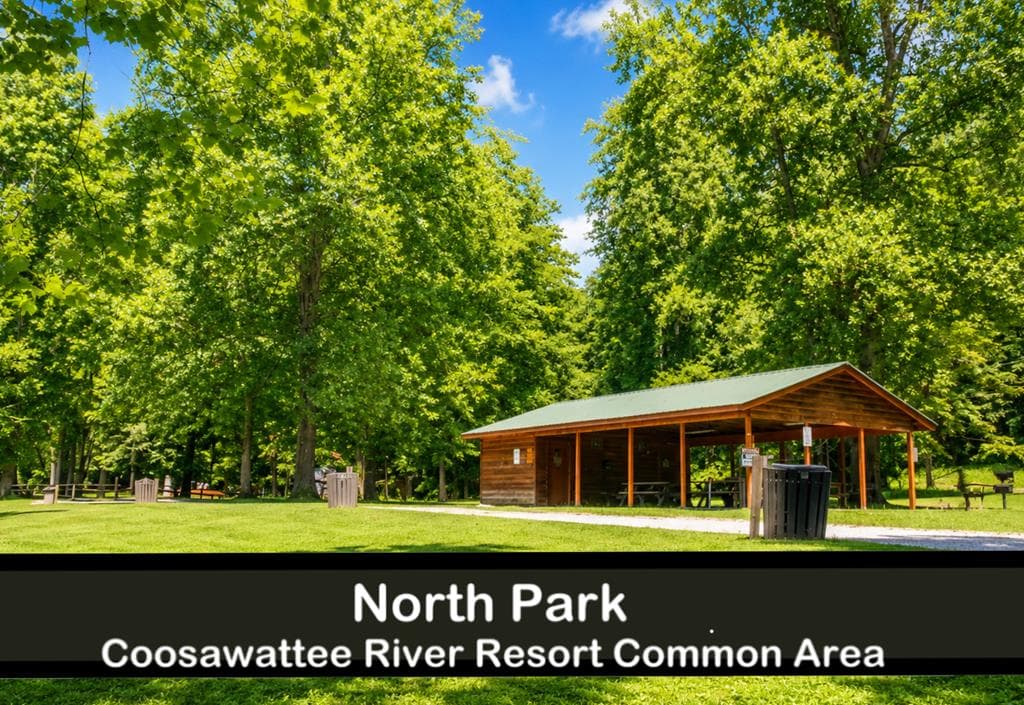 L812 Myna Drive, Ellijay GA 30540 - Photo