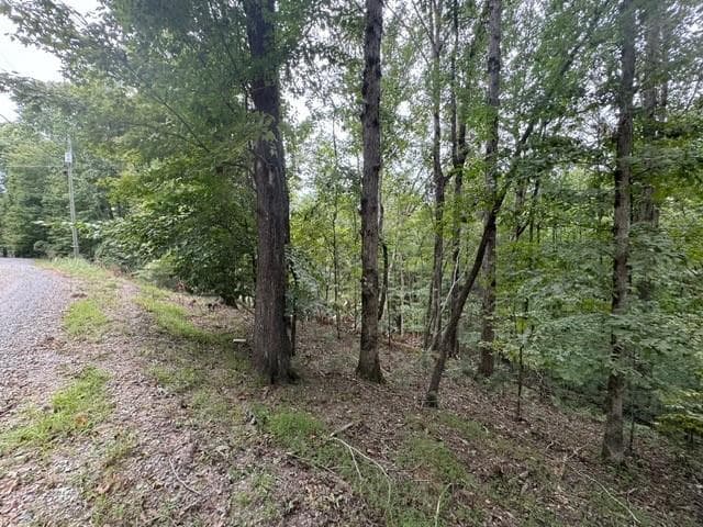 L812 Myna Drive, Ellijay GA 30540 - Photo