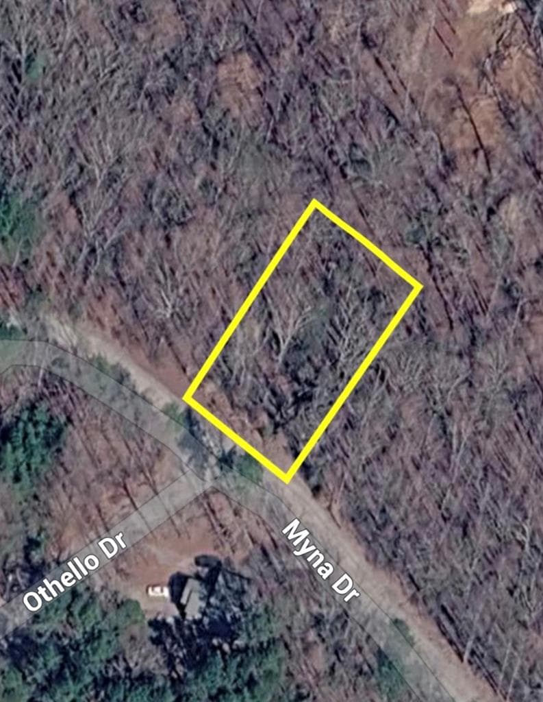 L812 Myna Drive, Ellijay GA 30540 - Photo