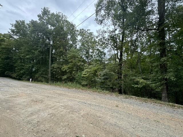 L812 Myna Drive, Ellijay GA 30540 - Photo