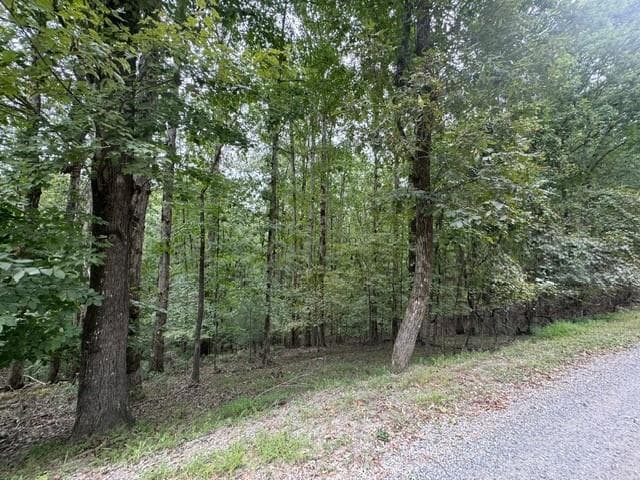 L812 Myna Drive, Ellijay GA 30540 - Photo