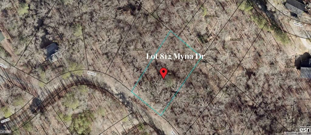 L812 Myna Drive, Ellijay GA 30540 - Photo