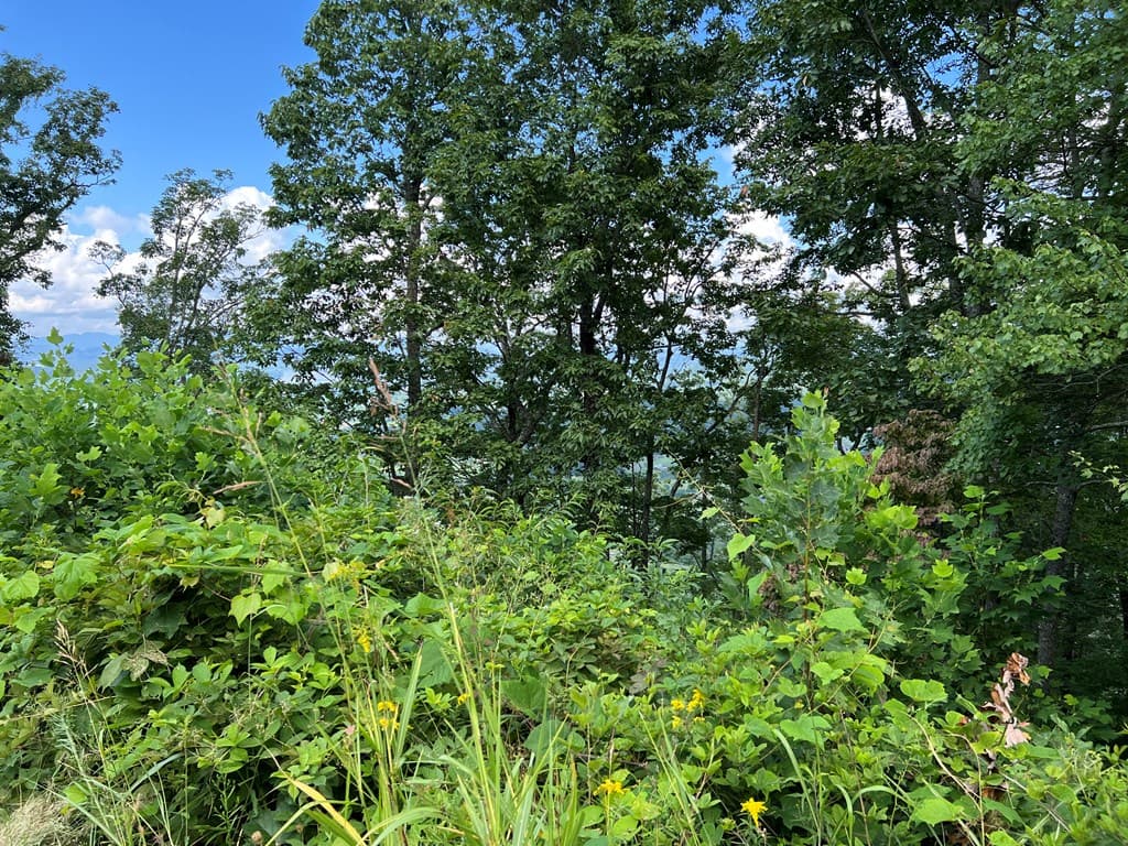 Lot 73M Ridges Overlook, Hayesville NC 28904 - Photo