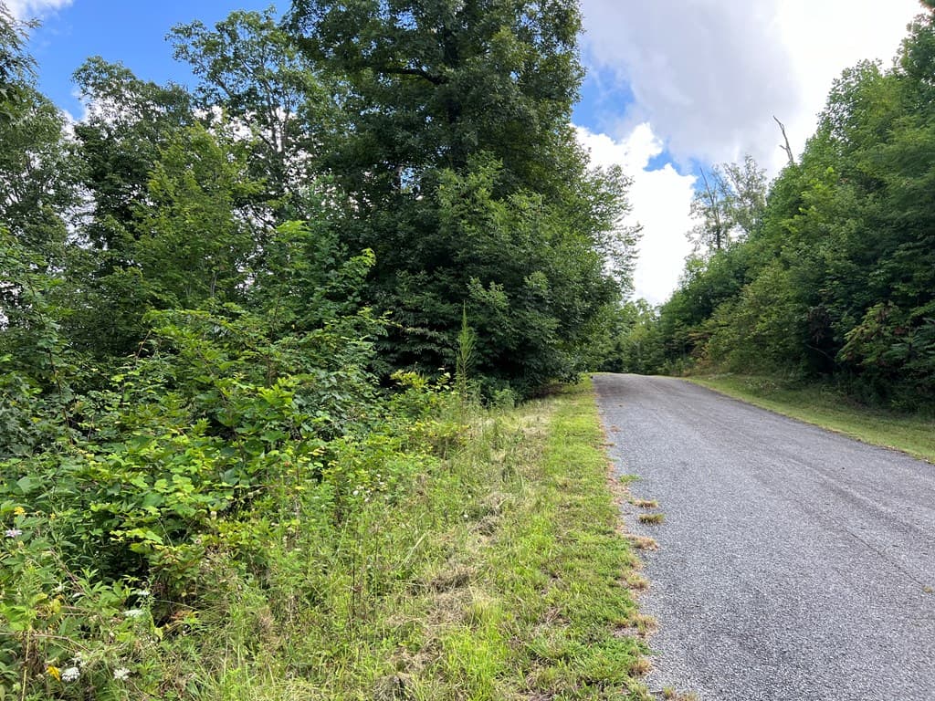 Lot 73M Ridges Overlook, Hayesville NC 28904 - Photo