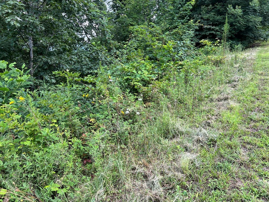 Lot 73M Ridges Overlook, Hayesville NC 28904 - Photo