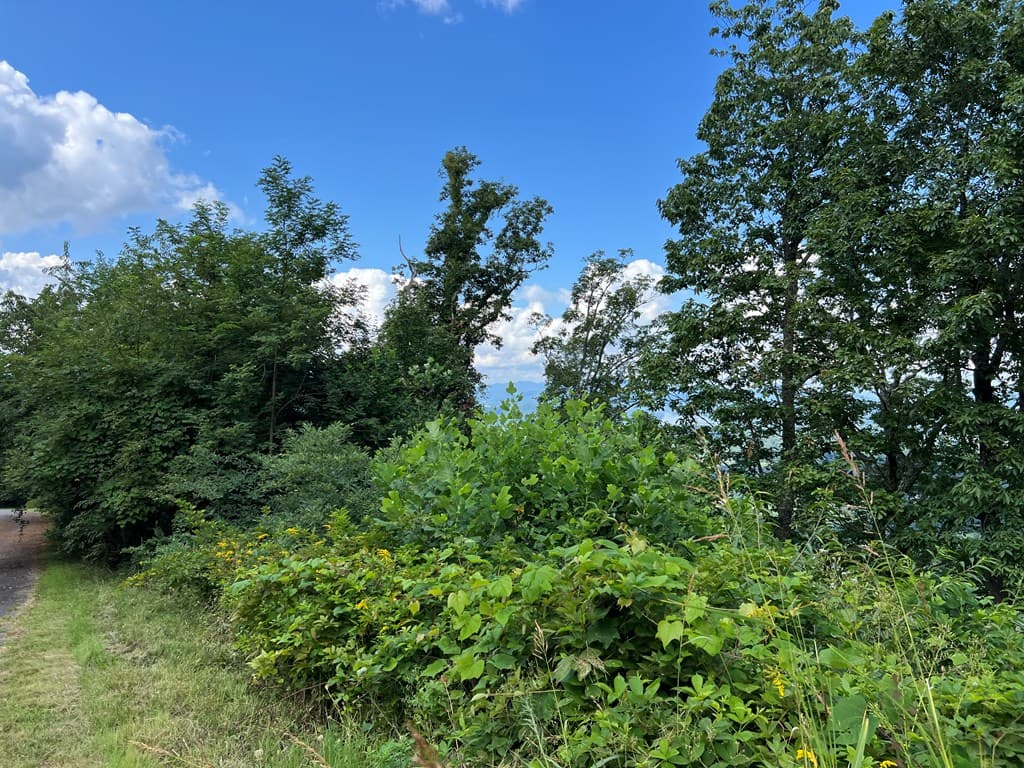 Lot 73M Ridges Overlook, Hayesville NC 28904 - Photo