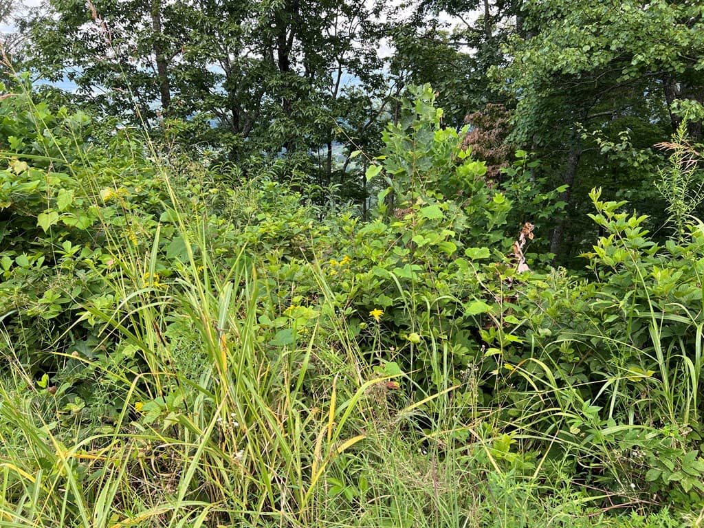 Lot 73M Ridges Overlook, Hayesville NC 28904 - Photo