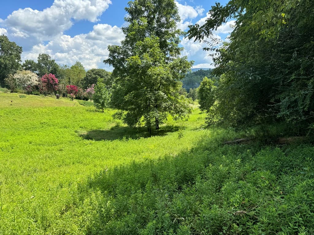 Lot 4 Chatuge Shores Overlook, Hayesville NC 28094 - Photo
