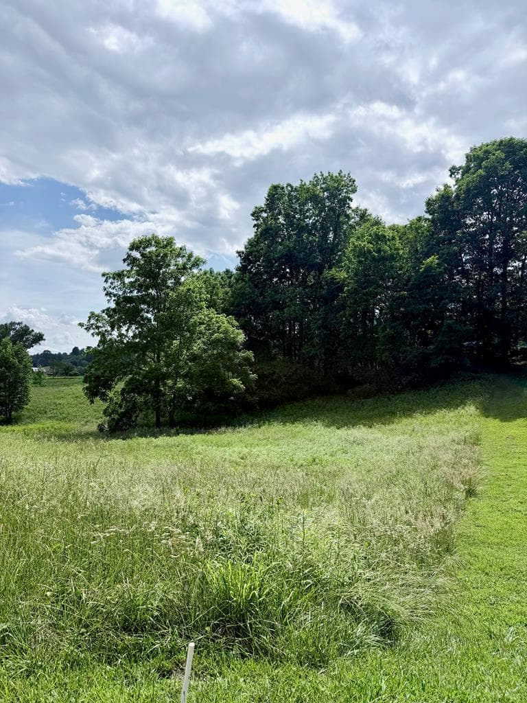 Lot 4 Chatuge Shores Overlook, Hayesville NC 28094 - Photo
