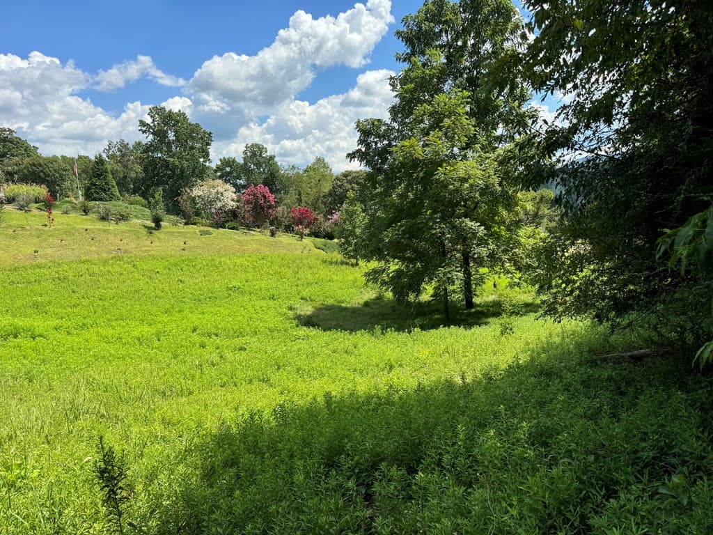 Lot 4 Chatuge Shores Overlook, Hayesville NC 28094 - Photo