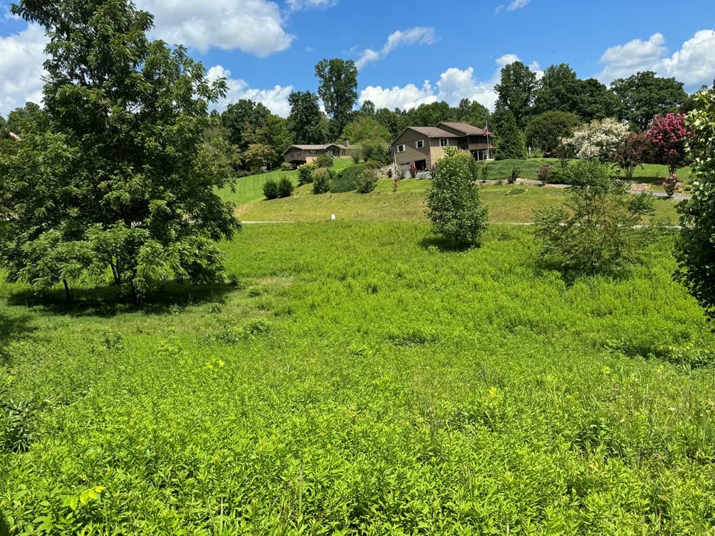 Lot 4 Chatuge Shores Overlook, Hayesville NC 28094 - Photo