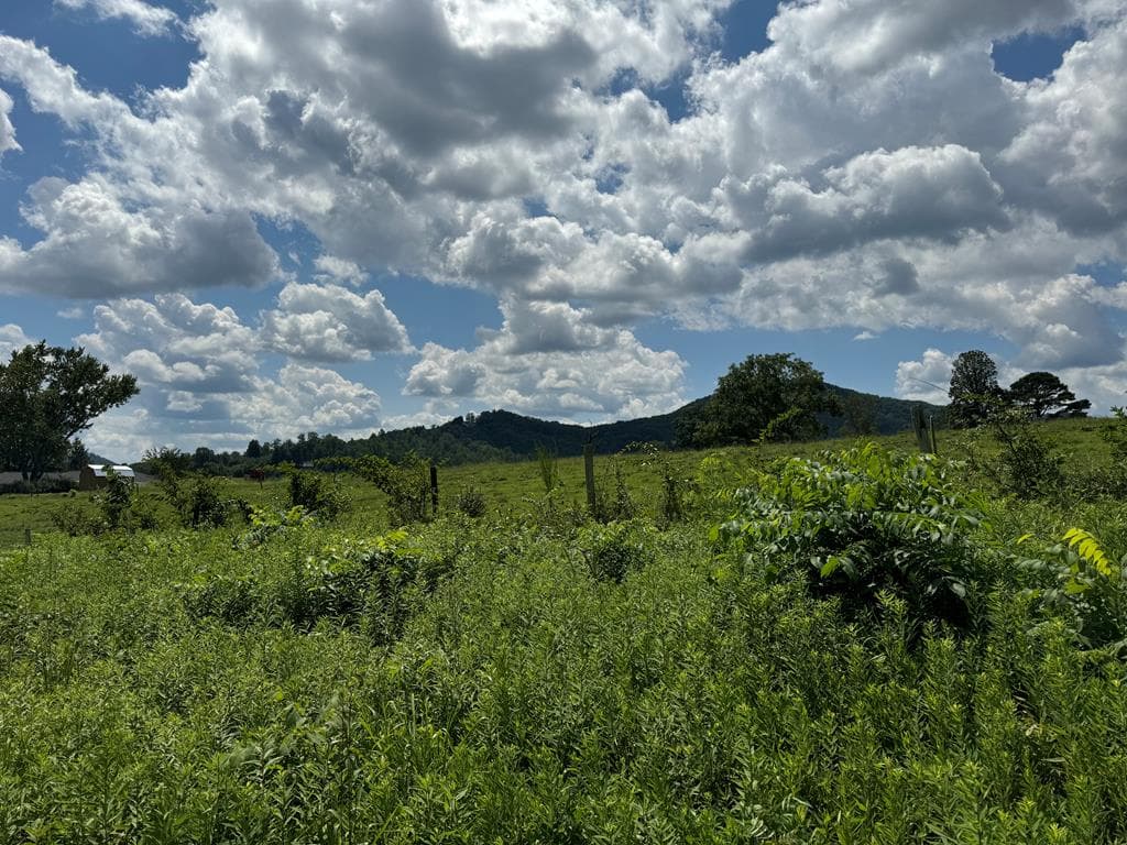 Lot 4 Chatuge Shores Overlook, Hayesville NC 28094 - Primary photo