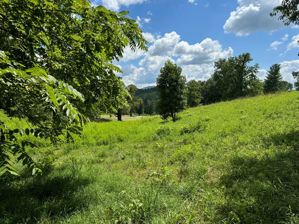 Lot 4 Chatuge Shores Overlook, Hayesville NC 28094 - Photo