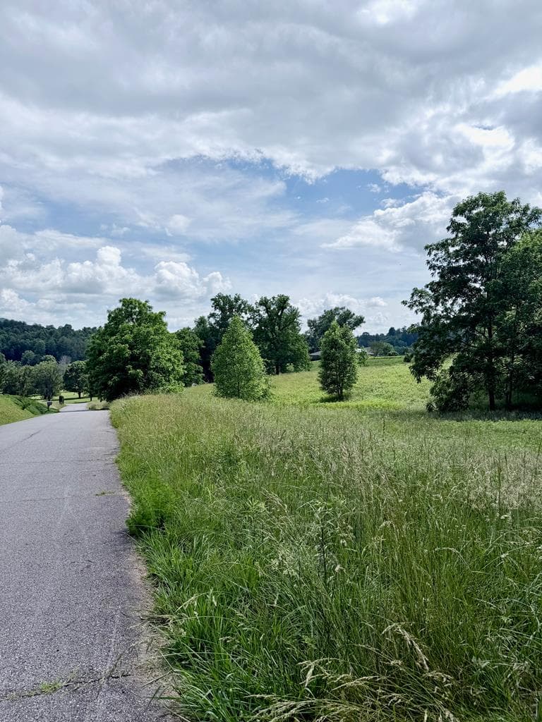 Lot 4 Chatuge Shores Overlook, Hayesville NC 28094 - Photo