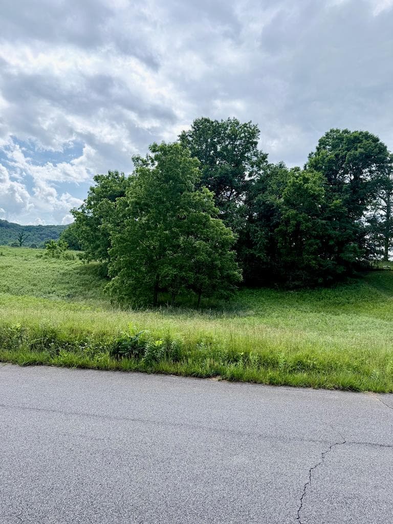 Lot 4 Chatuge Shores Overlook, Hayesville NC 28094 - Photo