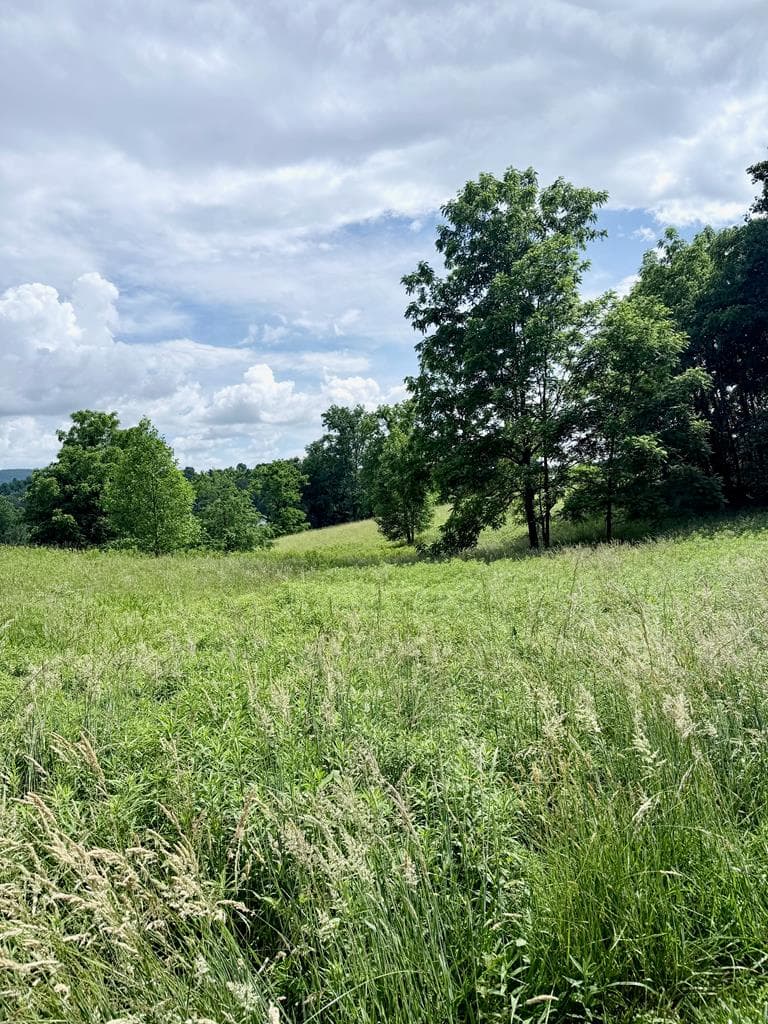 Lot 4 Chatuge Shores Overlook, Hayesville NC 28094 - Photo