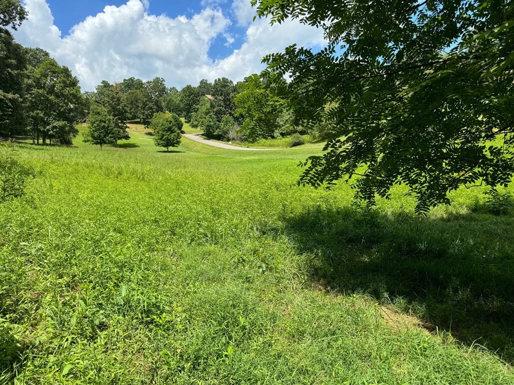 Lot 4 Chatuge Shores Overlook, Hayesville NC 28094 - Photo