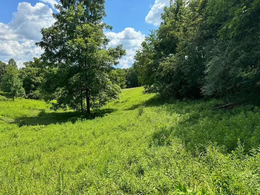 Lot 4 Chatuge Shores Overlook, Hayesville NC 28094 - Photo