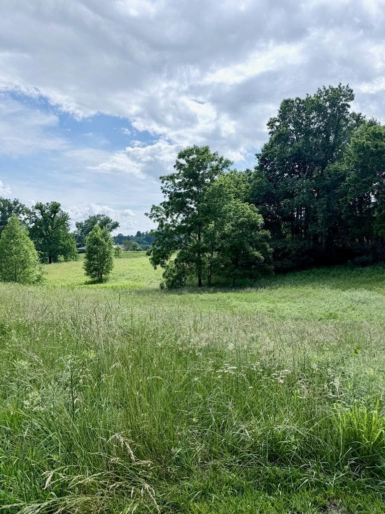 Lot 4 Chatuge Shores Overlook, Hayesville NC 28094 - Photo
