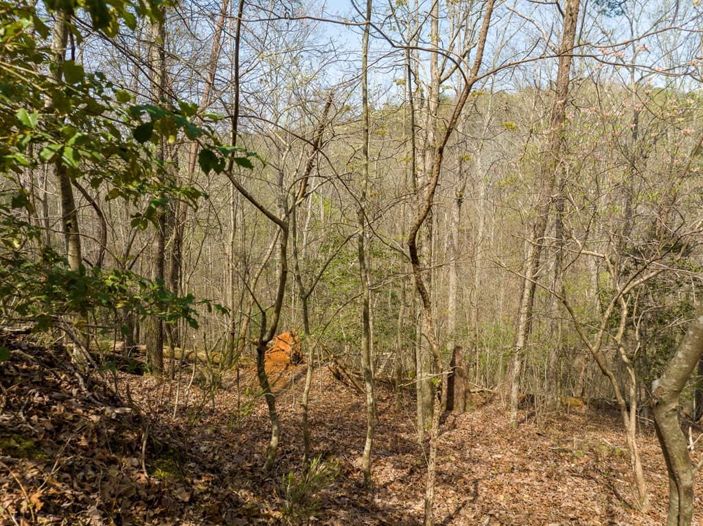 1162 Spalding Circle, Ellijay GA 30540 - Photo