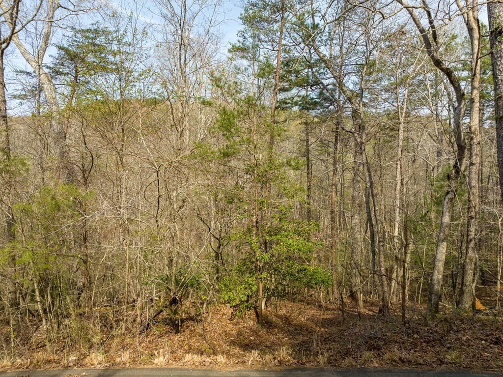 1162 Spalding Circle, Ellijay GA 30540 - Photo
