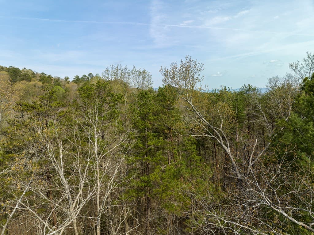 1162 Spalding Circle, Ellijay GA 30540 - Photo