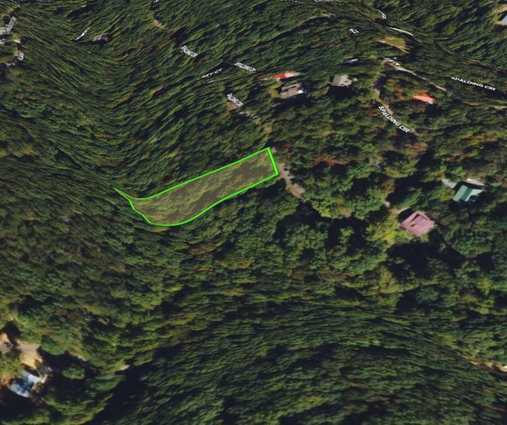 1162 Spalding Circle, Ellijay GA 30540 - Photo