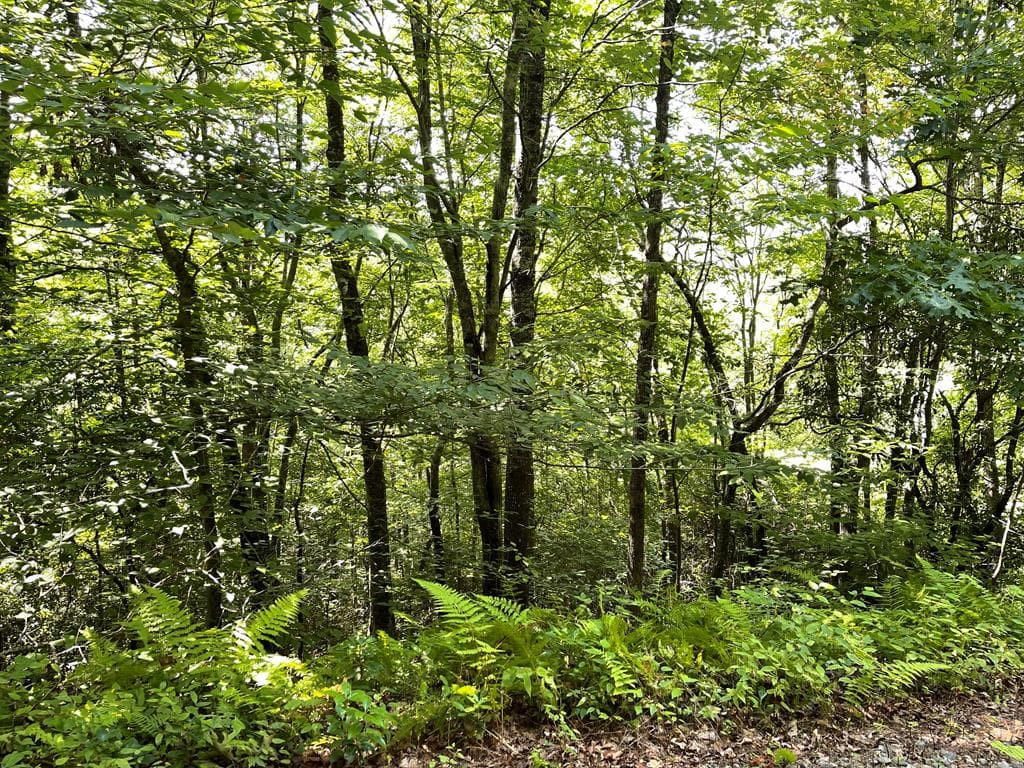 Lot 32 Fodder Creek Mill Drive, Hiawassee GA 30546 - Photo