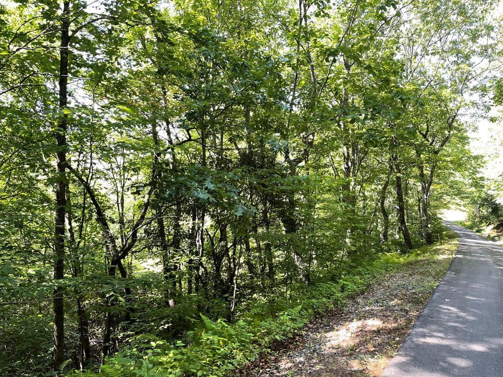 Lot 32 Fodder Creek Mill Drive, Hiawassee GA 30546 - Photo