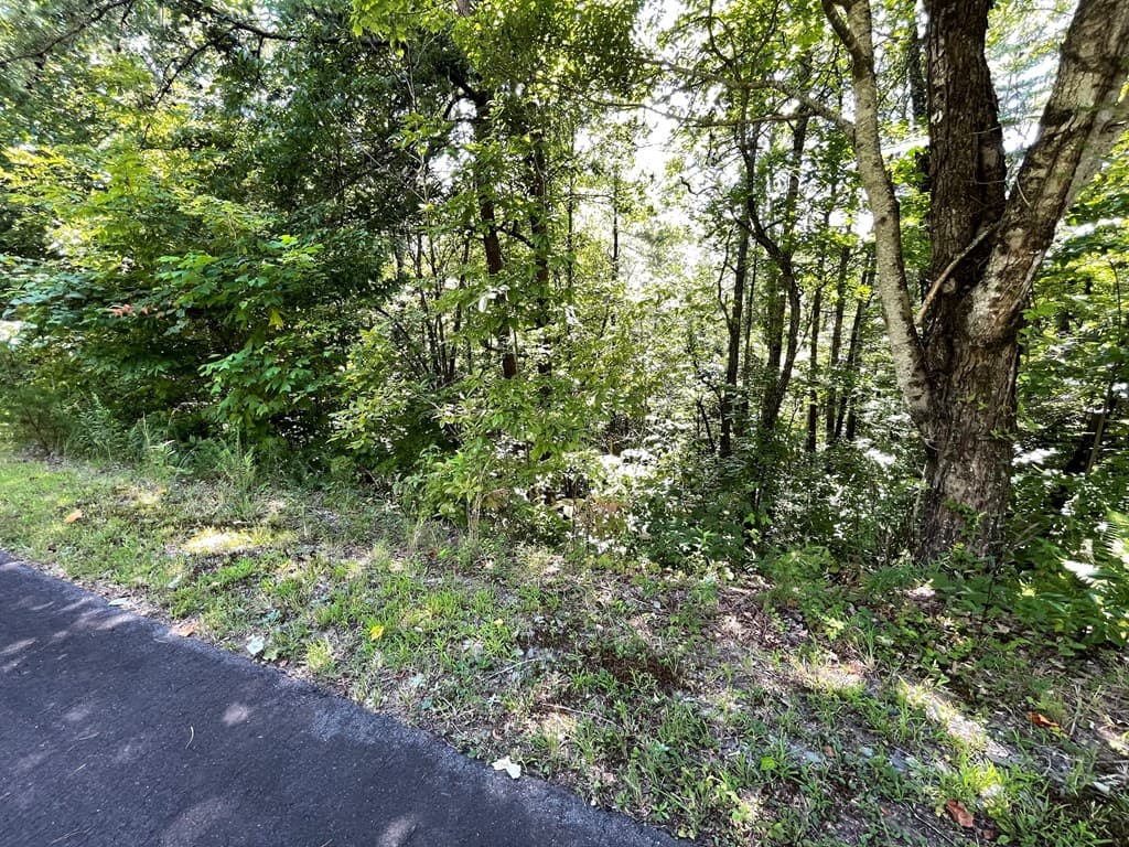 Lot 32 Fodder Creek Mill Drive, Hiawassee GA 30546 - Photo