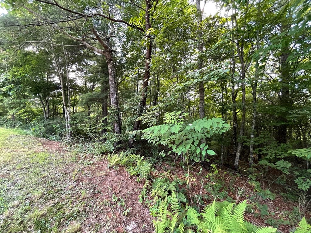 Lot 32 Fodder Creek Mill Drive, Hiawassee GA 30546 - Photo