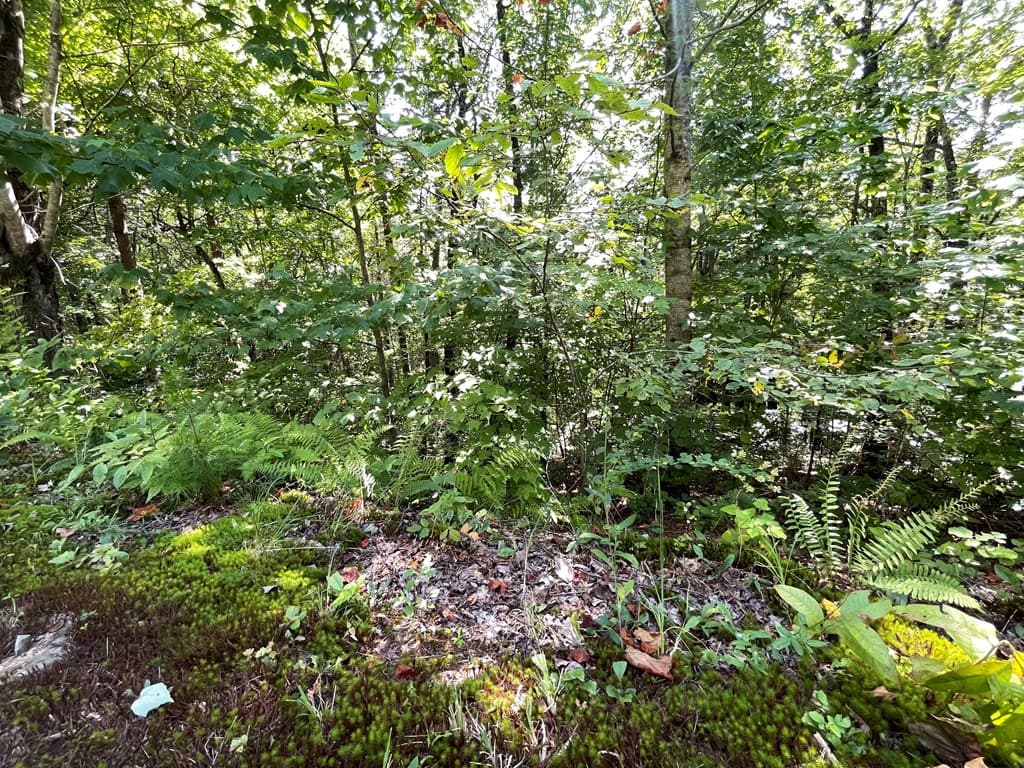 Lot 32 Fodder Creek Mill Drive, Hiawassee GA 30546 - Photo