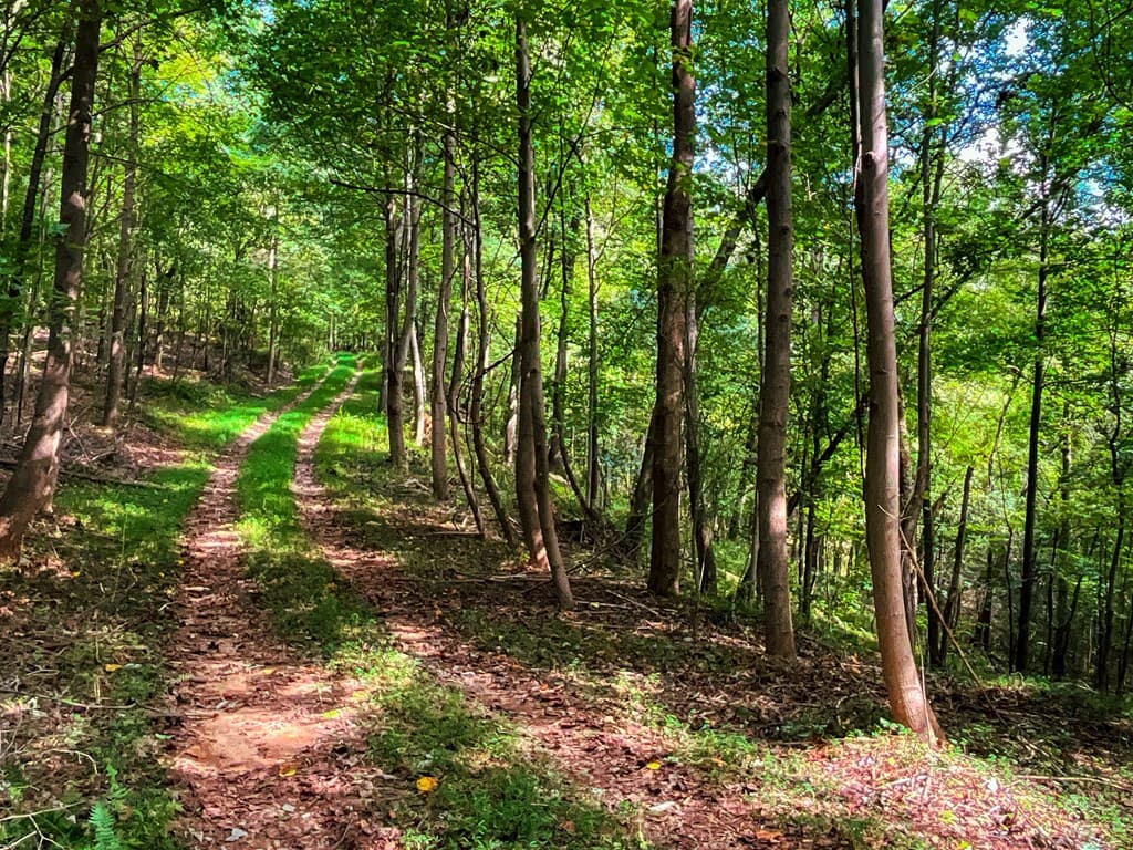 241 AC Legion Road, Ellijay GA 30540 - Photo
