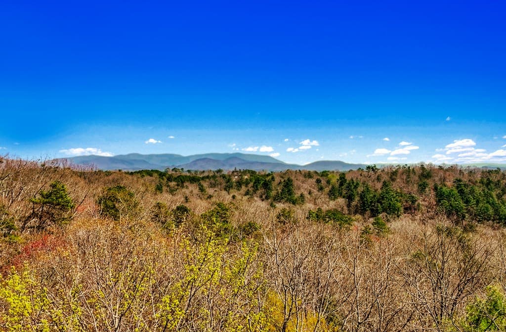 241 AC Legion Road, Ellijay GA 30540 - Photo