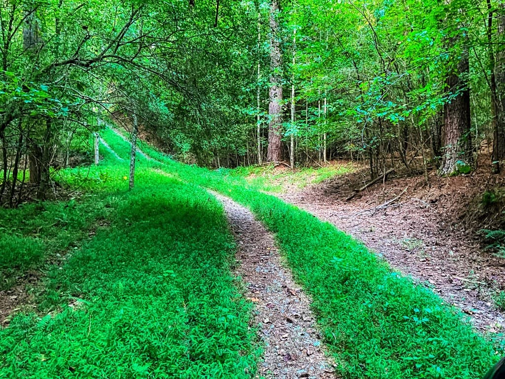 241 AC Legion Road, Ellijay GA 30540 - Photo