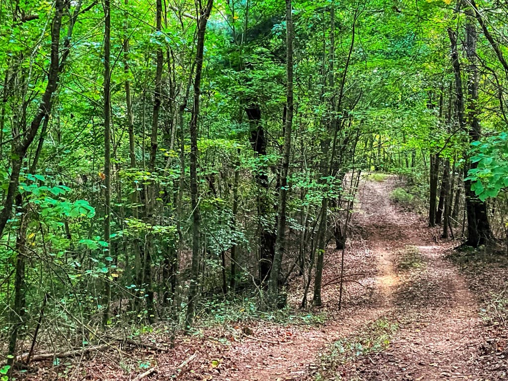 241 AC Legion Road, Ellijay GA 30540 - Photo