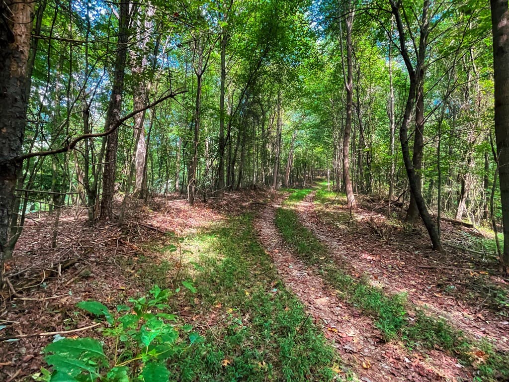 241 AC Legion Road, Ellijay GA 30540 - Photo