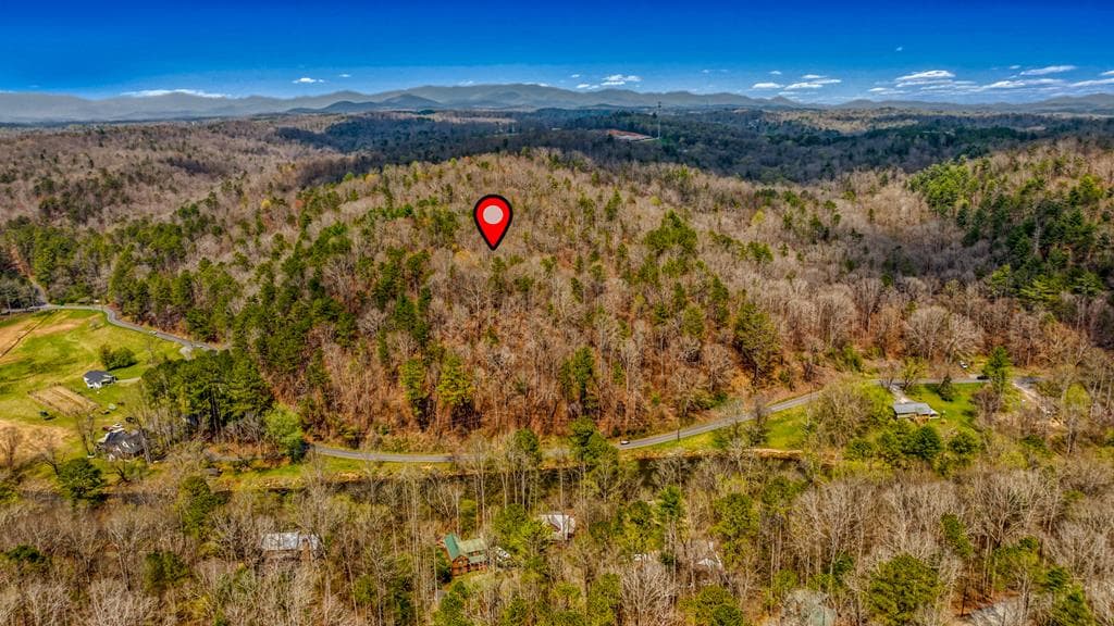 241 AC Legion Road, Ellijay GA 30540 - Primary photo