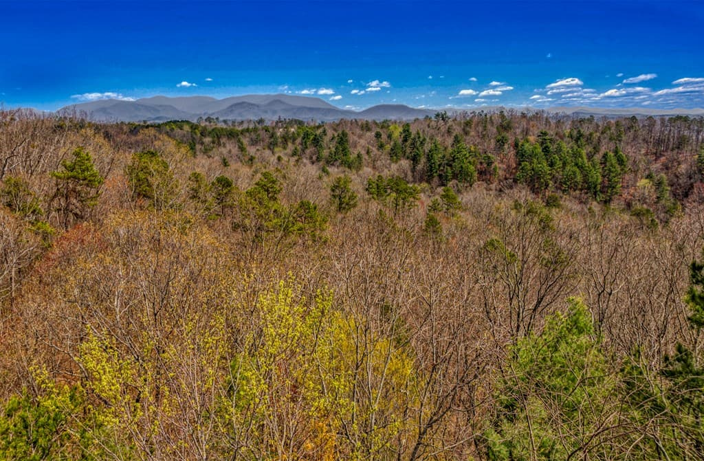 241 AC Legion Road, Ellijay GA 30540 - Photo