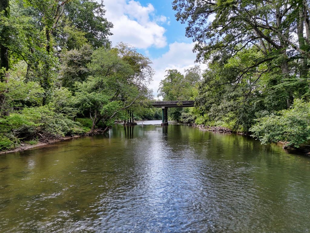 2350 Dial Road, Blue Ridge GA 30513 - Photo