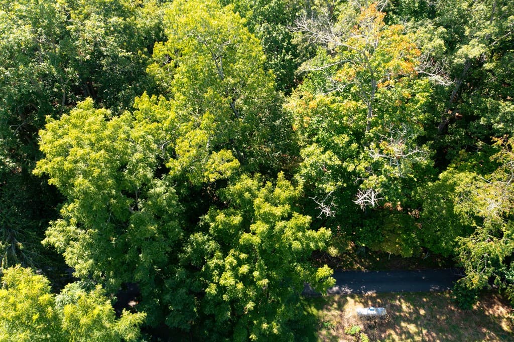 Lot #6 Kilpatrick Point Lane, Hayesville NC 28904 - Photo