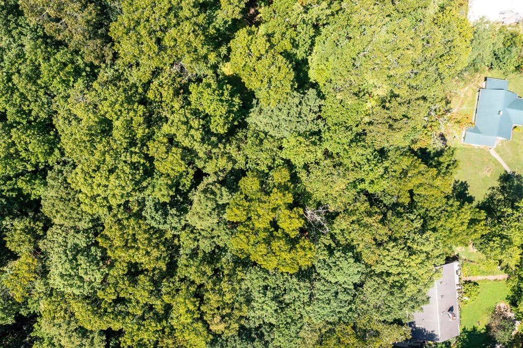 Lot #6 Kilpatrick Point Lane, Hayesville NC 28904 - Photo