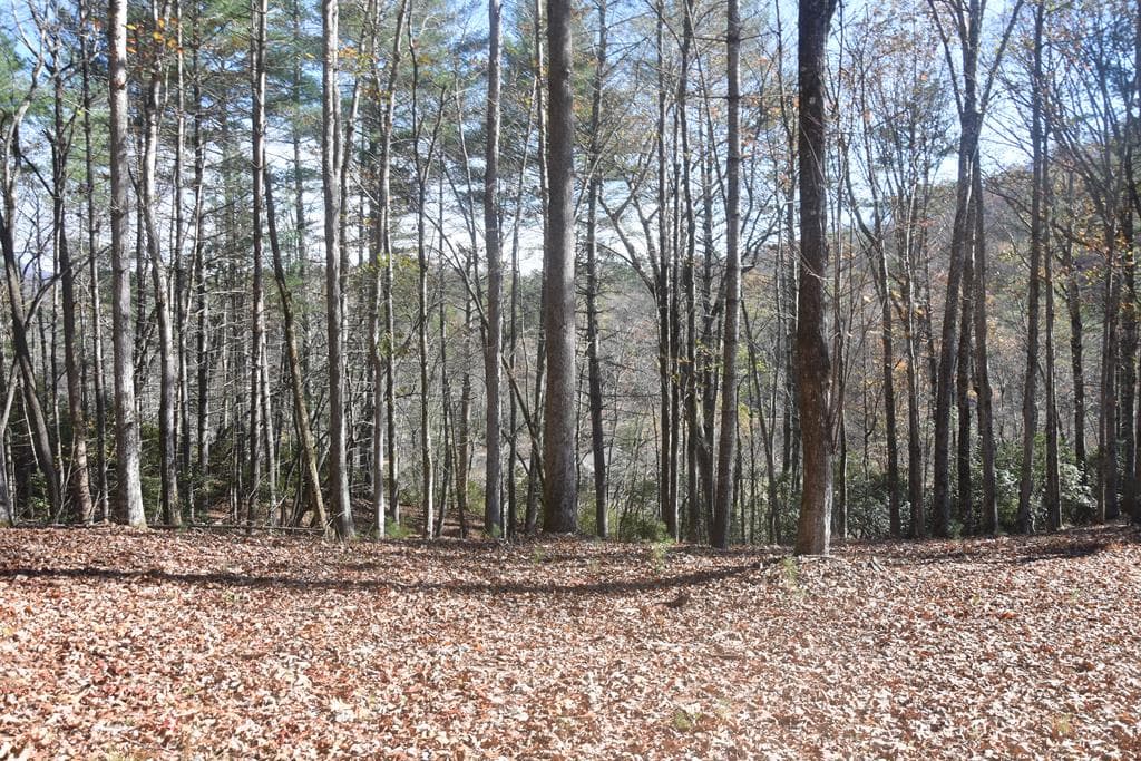 296 Caddis Trail, Hayesville NC 28904 - Photo