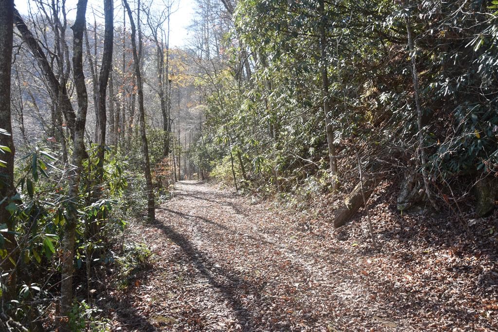 296 Caddis Trail, Hayesville NC 28904 - Photo