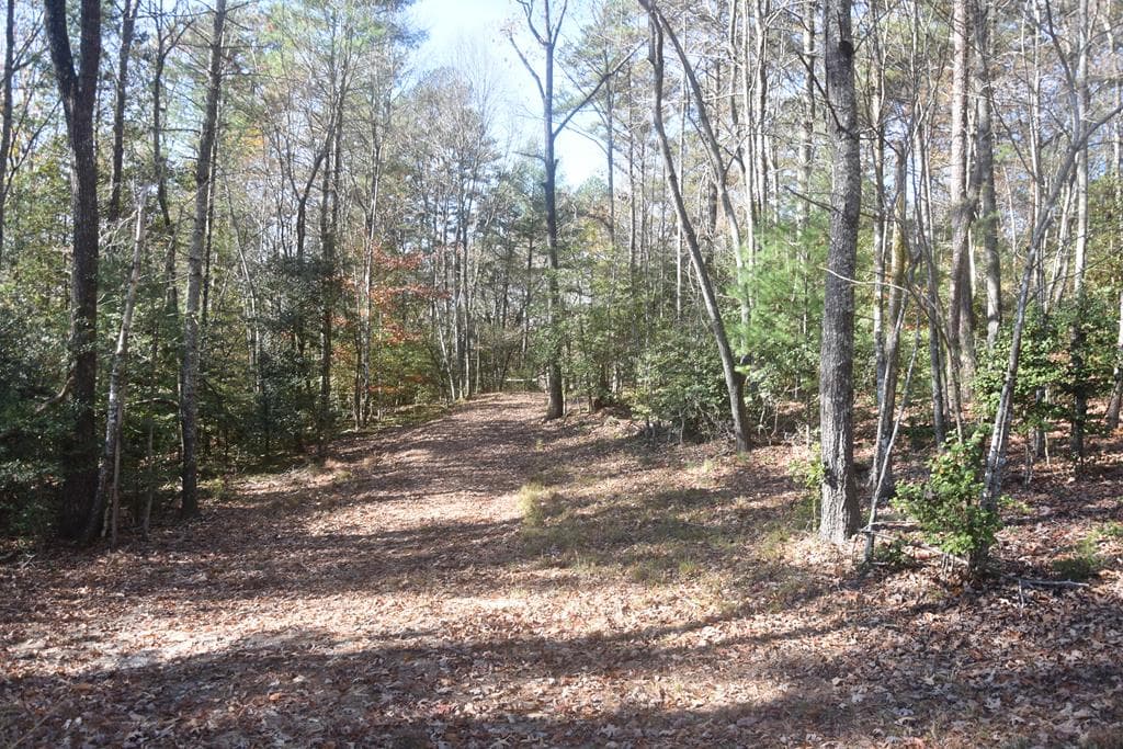 296 Caddis Trail, Hayesville NC 28904 - Photo