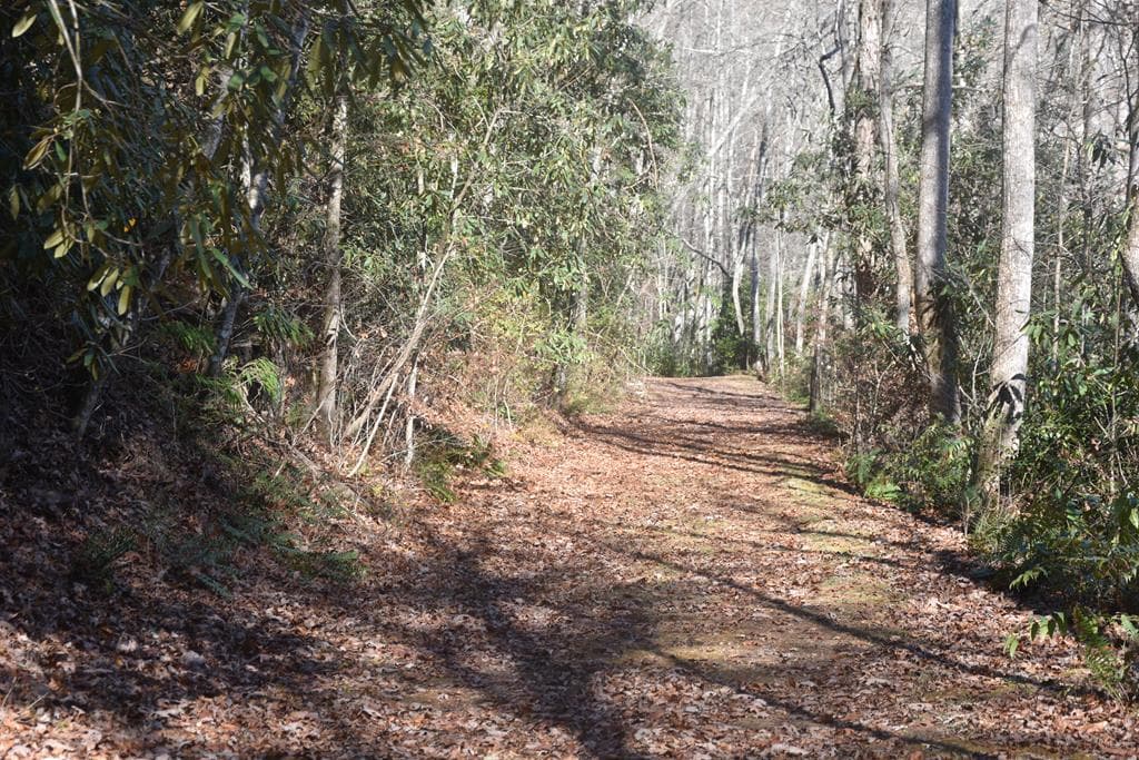 296 Caddis Trail, Hayesville NC 28904 - Photo