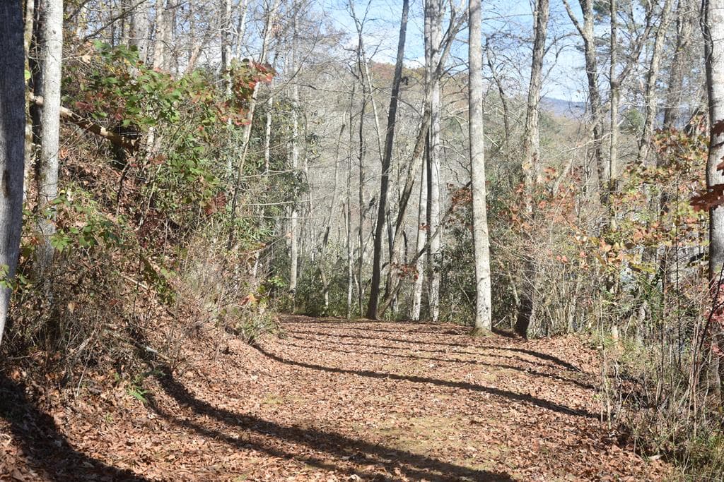 296 Caddis Trail, Hayesville NC 28904 - Photo