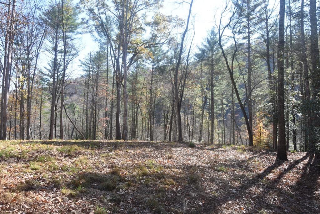 296 Caddis Trail, Hayesville NC 28904 - Photo