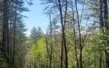 0 Whispering Creek Drive, Mineral Bluff GA 30559 - Photo