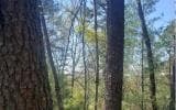 0 Whispering Creek Drive, Mineral Bluff GA 30559 - Photo